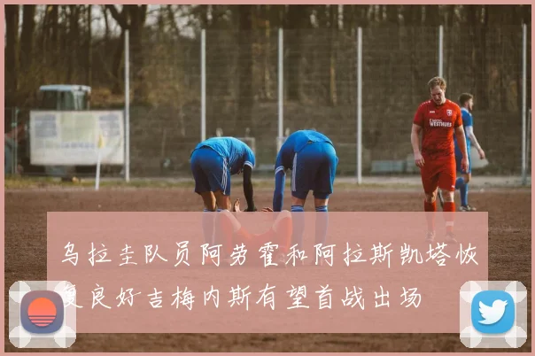 乌拉圭队员阿劳霍和阿拉斯凯塔恢复良好吉梅内斯有望首战出场