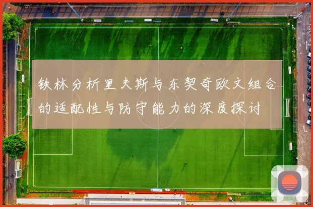 铁林分析里夫斯与东契奇欧文组合的适配性与防守能力的深度探讨